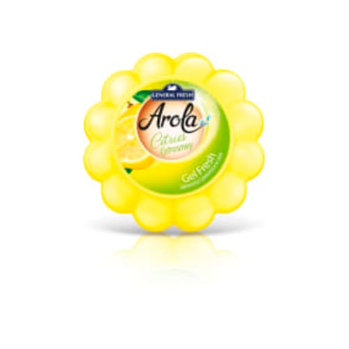 Doftblock Lemon General Fresh 150g
