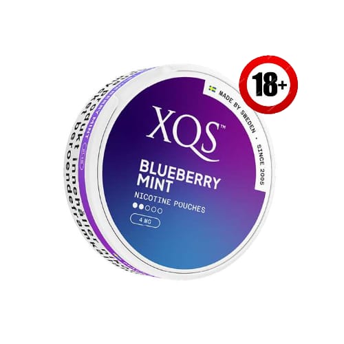 XQS Blueberry Mint