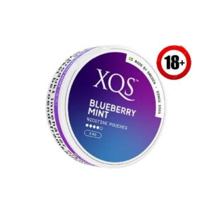 XQS Blueberry Mint Strong