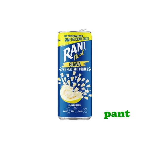 Rani BURK Guava 240ml × 20st