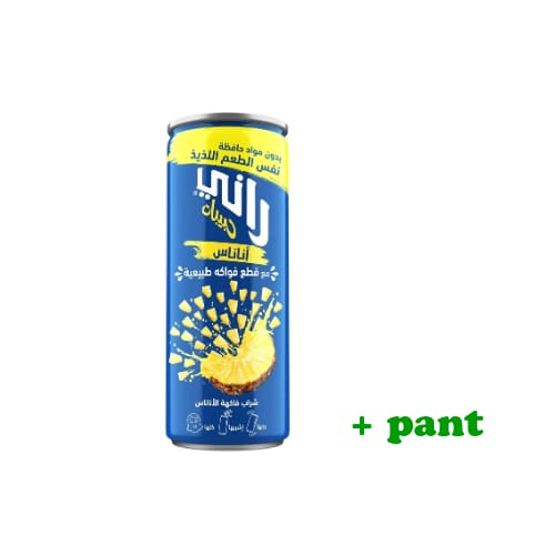 Rani BURK Ananas fruktdryck 240ml × 20st